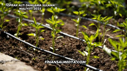 Toprak Altı Damlama Sulama Maliyeti 2025