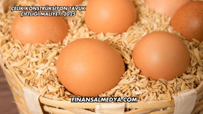 Çelik Konstrüksiyon Tavuk Çiftliği Maliyeti 2025
