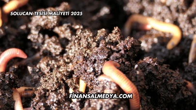 Solucan Tesisi Maliyeti 2025