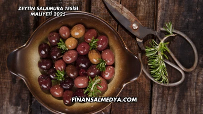 Zeytin Salamura Tesisi Maliyeti 2025