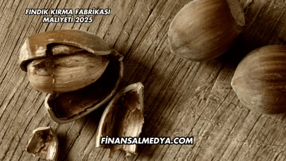 Fındık Kırma Fabrikası Maliyeti 2025