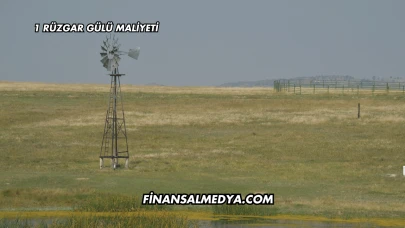 1 Rüzgar Gülü Maliyeti