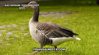 Kaz Entegre Tesisi Maliyeti 2025