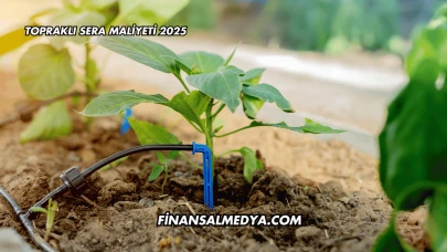 Topraklı Sera Maliyeti 2025