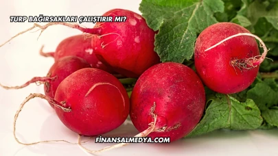 Turp Bağırsakları Çalıştırır mı?