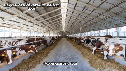 Hayvan Çiftliği Kurulum Maliyeti 2025