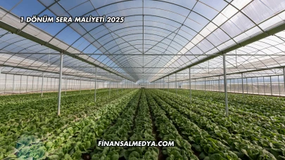 1 Dönüm Sera Maliyeti 2025