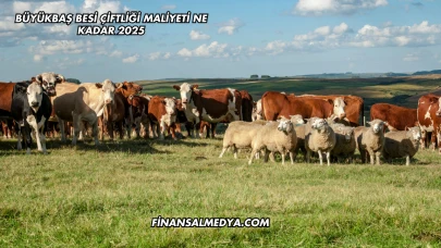 Büyükbaş Besi Çiftliği Maliyeti Ne Kadar 2025
