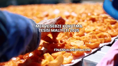 Meyve Sebze Kurutma Tesisi Maliyeti 2025