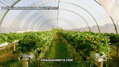 1 Dönüm Modern Sera Maliyeti 2025