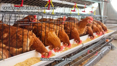 Tavuk Çiftliği Kurma Maliyeti 2025