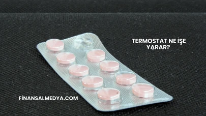 Termostat Ne İşe Yarar?
