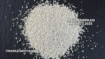 Maya Fabrikası Maliyeti 2025