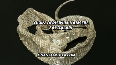 Yılan Derisinin Kansere Faydaları