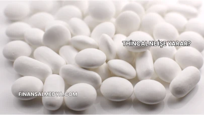 Thincal Ne İşe Yarar?