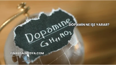 Dopamin Ne İşe Yarar?