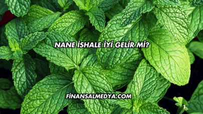 Nane İshale İyi Gelir mi?