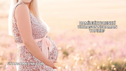Hamilelikte Renkli Ultrason Ne Zaman Yapılır?