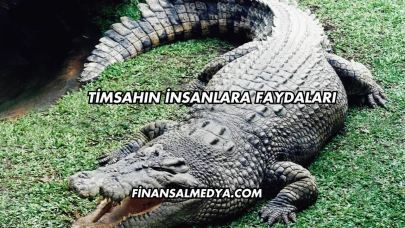 Timsahın İnsanlara Faydaları
