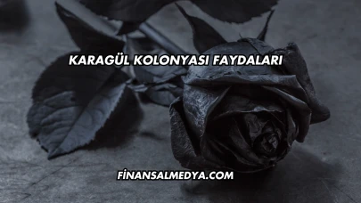 Karagül Kolonyası Faydaları