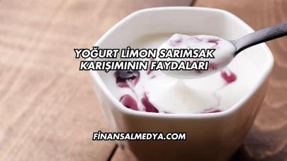Yoğurt Limon Sarımsak Karışımının Faydaları