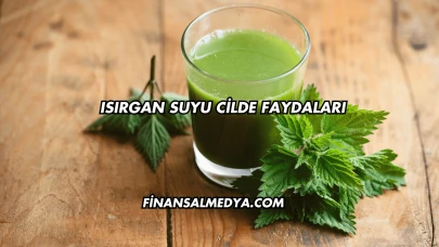 Isırgan Suyu Cilde Faydaları
