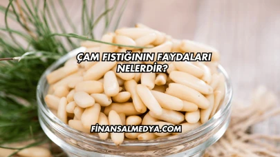 Çam Fıstığının Faydaları Nelerdir?