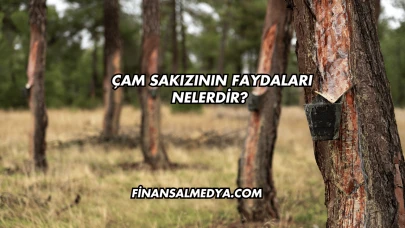 Çam Sakızının Faydaları Nelerdir?