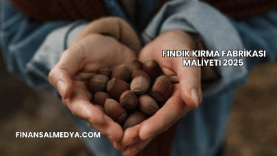 Fındık Kırma Fabrikası Maliyeti 2025