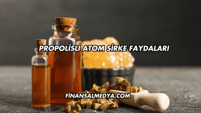 Propolisli Atom Sirke Faydaları