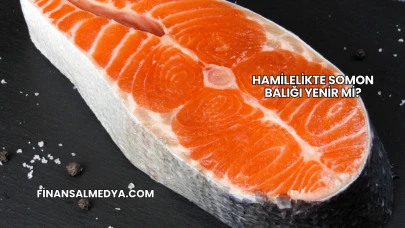 Hamilelikte Somon Balığı Yenir mi?
