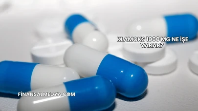 Klamoks 1000 Mg Ne İşe Yarar?