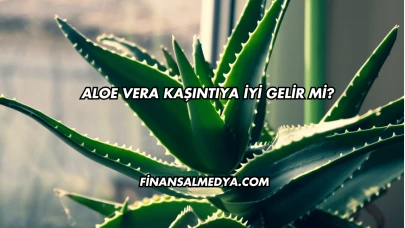 Aloe Vera Kaşıntıya İyi Gelir mi?