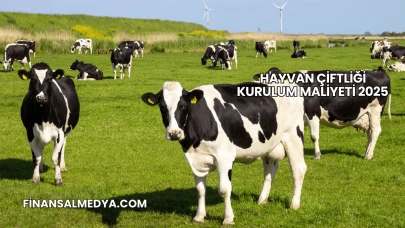 Hayvan Çiftliği Kurulum Maliyeti 2025