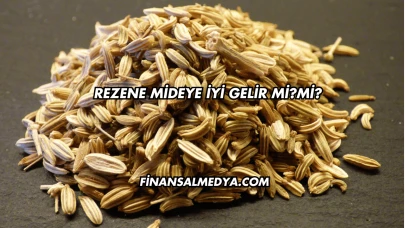 Rezene Mideye İyi Gelir mi?