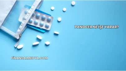 Panocer Ne İşe Yarar?