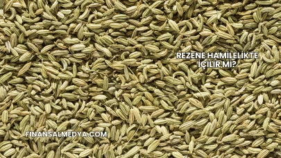 Rezene Hamilelikte İçilir mi?