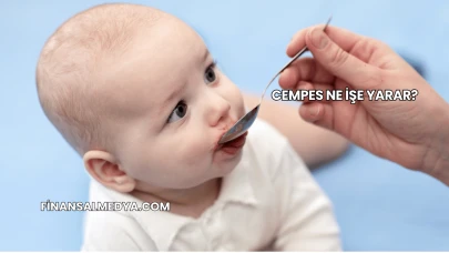 Cempes Ne İşe Yarar?