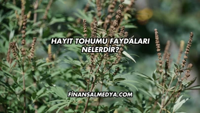 Hayıt Tohumu Faydaları Nelerdir?
