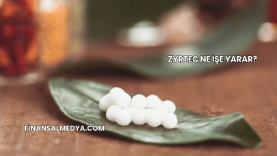 Zyrtec Ne İşe Yarar?