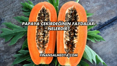 Papaya Çekirdeğinin Faydaları Nelerdir?