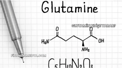 Glutamin Ne İşe Yarar?