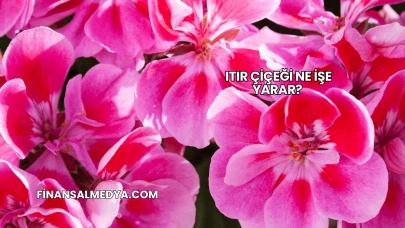Itır Çiçeği Ne İşe Yarar?