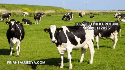 Lely Çiftlik Kurulum Maliyeti 2025