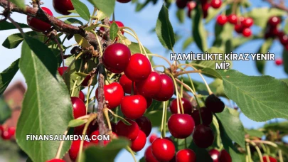 Hamilelikte Kiraz Yenir mi?