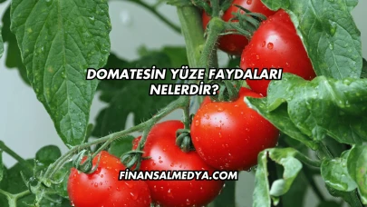 Domatesin Yüze Faydaları Nelerdir?