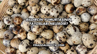 Bıldırcın Yumurtasının Faydaları Nelerdir?