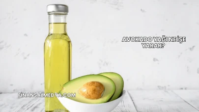 Avokado Yağı Ne İşe Yarar?