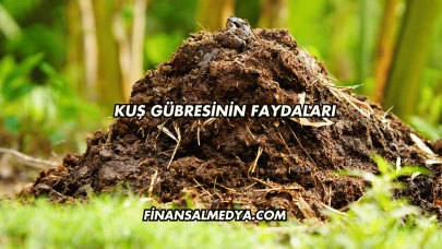Kuş Gübresinin Faydaları
