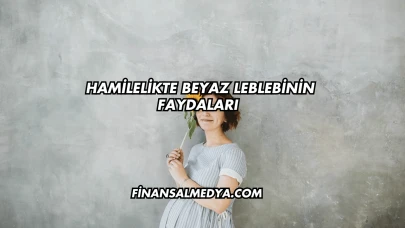 Hamilelikte Beyaz Leblebinin Faydaları